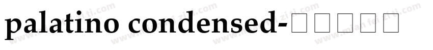 palatino condensed字体转换